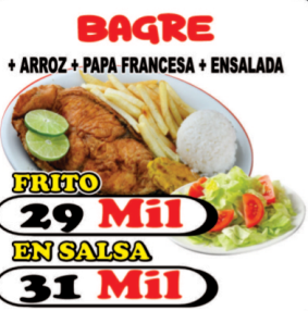 Bagre